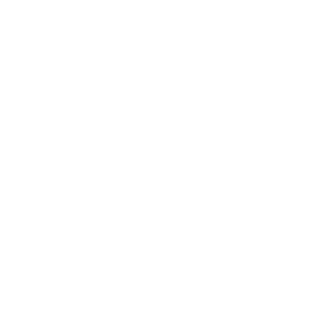 L Shape / Four Seater Sofa