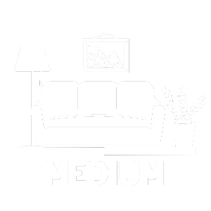 Medium Living Room Carpet Cleaning