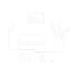 Small Living Room Carpet Cleaning